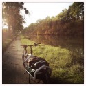 AUTOMNE