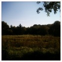 prairie
